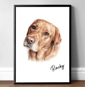 Dog Portrait Stunning Colour Pencil Portrait