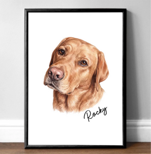 Dog Portrait Stunning Colour Pencil Portrait