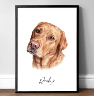 Dog Portrait Stunning Colour Pencil Portrait